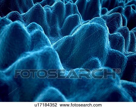 Drawing - "Silicone, close up., illustration". Fotosearch