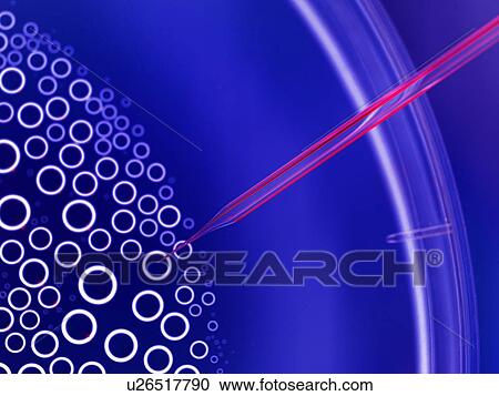 Clipart - Stem Cell Research. Fotosearch