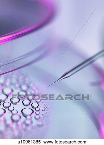 Stem Cell Research View Large Illustration Stock Illustration - Stem Cell Research. Fotosearch
