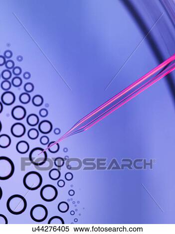 Stem Cell Research View Large Illustration Stock Illustration - Stem Cell Research. Fotosearch