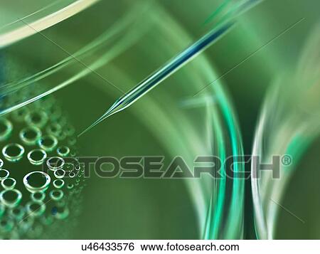 Stem Cell Research View Large Illustration Stock Illustration - Stem Cell Research. Fotosearch