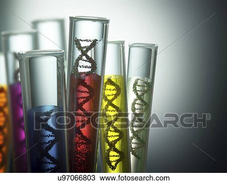 Drawing - "Test tubes containing DNA, illustration". Fotosearch