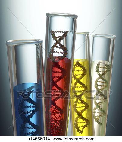 "Test tubes containing DNA, illustration" View Large Illustration Stock Illustration - "Test tubes containing DNA, illustration". Fotosearch