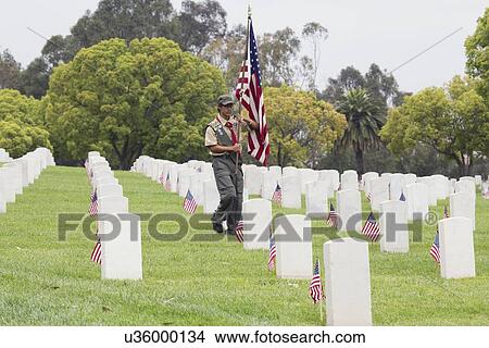 Picture - "Boyscout places one of 85, 000 US Flags at 2014 Memorial Day Event, Los Angeles National Cemetery, California, USA". Fotosearch