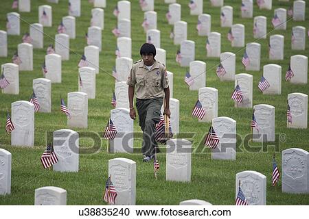 Stock Image - "Boyscout places one of 85, 000 US Flags at 2014 Memorial Day Event, Los Angeles National Cemetery, California, USA". Fotosearch