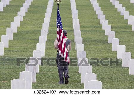 Stock Photo - "Boyscout places one of 85, 000 US Flags at 2014 Memorial Day Event, Los Angeles National Cemetery, California, USA". Fotosearch