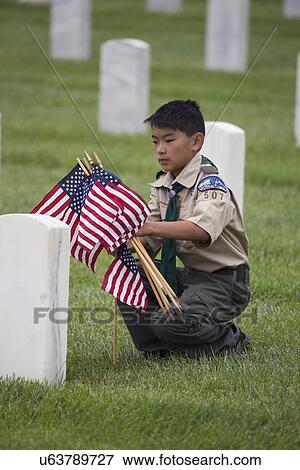 Stock Photo - "Boyscout places one of 85, 000 US Flags at 2014 Memorial Day Event, Los Angeles National Cemetery, California, USA". Fotosearch
