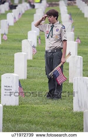 Stock Photo - "Boyscout places one of 85, 000 US Flags at 2014 Memorial Day Event, Los Angeles National Cemetery, California, USA". Fotosearch