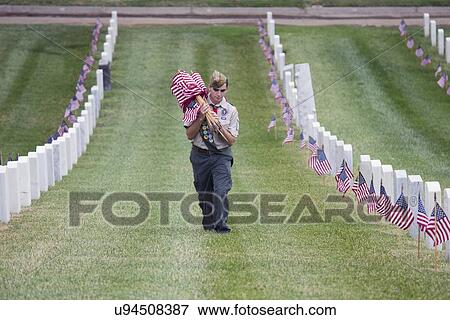 "Boyscout places one of 85, 000 US Flags at 2014 Memorial Day Event, Los Angeles National Cemetery, California, USA" View Large Photo Image Stock Photo - "Boyscout places one of 85, 000 US Flags at 2014 Memorial Day Event, Los Angeles National Cemetery, California, USA". Fotosearch