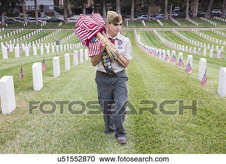 "Boyscout placing 85, 000 US Flags at Annual Memorial Day Event, Los Angeles National Cemetery, California, USA" View Large Photo Image Stock Image - "Boyscout placing 85, 000 US Flags at Annual Memorial Day Event, Los Angeles National Cemetery, California, USA". Fotosearch