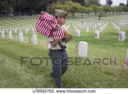 "Boyscout placing 85, 000 US Flags at Annual Memorial Day Event, Los Angeles National Cemetery, California, USA" View Large Photo Image Stock Image - "Boyscout placing 85, 000 US Flags at Annual Memorial Day Event, Los Angeles National Cemetery, California, USA". Fotosearch