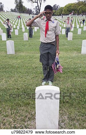 "Boyscout saluting for one of 85, 000 US Flags at 2014 Memorial Day Event, Los Angeles National Cemetery, California, USA" View Large Photo Image Stock Photo - "Boyscout saluting for one of 85, 000 US Flags at 2014 Memorial Day Event, Los Angeles National Cemetery, California, USA". Fotosearch
