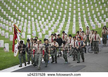 "Boyscouts place 85, 000 US Flags at Annual Memorial Day Event, Los Angeles National Cemetery, California, USA" View Large Photo Image Stock Photo - "Boyscouts place 85, 000 US Flags at Annual Memorial Day Event, Los Angeles National Cemetery, California, USA". Fotosearch
