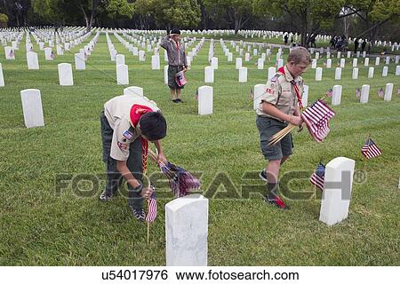 "Boyscouts placing 85, 000 US Flags at Annual Memorial Day Event, Los Angeles National Cemetery, California, USA" View Large Photo Image Stock Photograph - "Boyscouts placing 85, 000 US Flags at Annual Memorial Day Event, Los Angeles National Cemetery, California, USA". Fotosearch