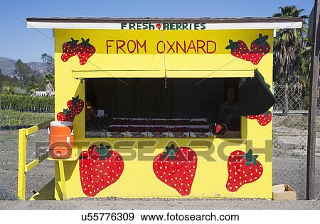 "Fresh fruit yellow roadside stand, Route 126, Santa Paula, California, USA" View Large Photo Image Stock Photo - "Fresh fruit yellow roadside stand, Route 126, Santa Paula, California, USA". Fotosearch