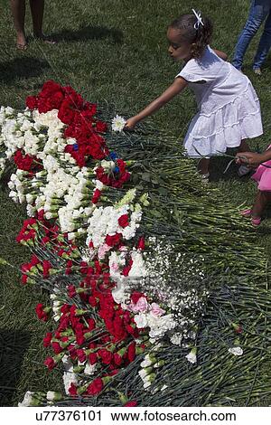 Stock Image - "Little girl placing flower at Los Angeles National Cemetery Annual Memorial Event, May 26, 2014, California, USA". Fotosearch