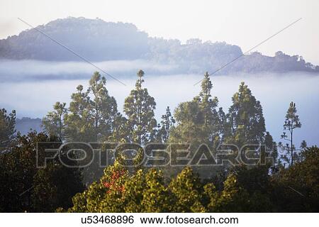 "Marine layer surrounds mountains in fog and clouds, Oak View, California, USA" View Large Photo Image Stock Photograph - "Marine layer surrounds mountains in fog and clouds, Oak View, California, USA". Fotosearch