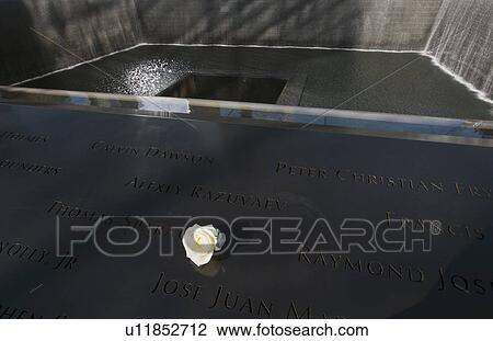 "Symbolic rose and Waterfall Footprint of WTC, National September 11 Memorial, New York City, New York, USA" View Large Photo Image Stock Image - "Symbolic rose and Waterfall Footprint of WTC, National September 11 Memorial, New York City, New York, USA". Fotosearch