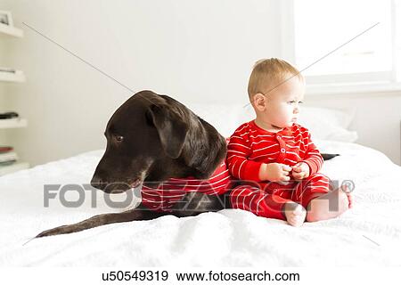 Boy (2-3) with dog in bedroom View Large Photo Image Stock Photo - Boy (2-3) with dog in bedroom. Fotosearch