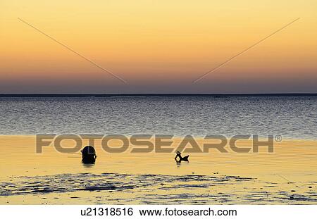 Stock Photograph - Buoy and anchor silhouetted on wet beach. Fotosearch