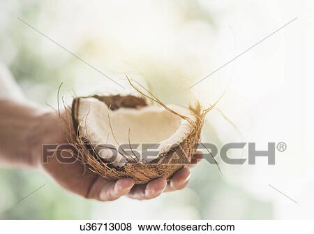 Stock Photo - Close up of man's hand holding part of coconut. Fotosearch