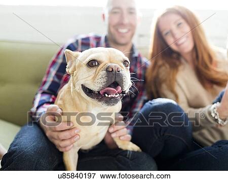 Couple with pug sitting on sofa View Large Photo Image Stock Photo - Couple with pug sitting on sofa. Fotosearch