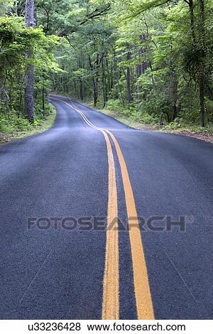 Empty road in forest View Large Photo Image Stock Photo - Empty road in forest. Fotosearch