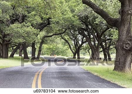 Empty road View Large Photo Image Picture - Empty road. Fotosearch