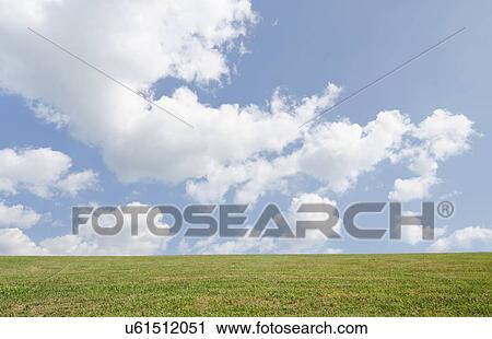 Field of grass and sky View Large Photo Image Stock Image - Field of grass and sky. Fotosearch