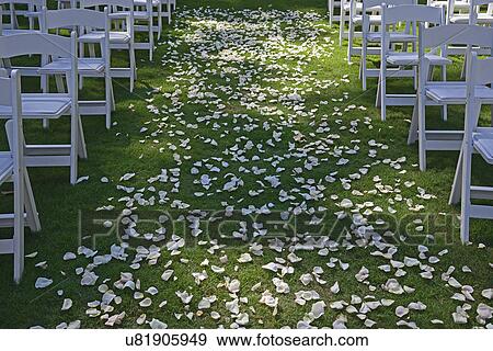 Stock Photo - "Flower petals on green lawn for wedding ceremony, chairs on sides, symmetrical image". Fotosearch
