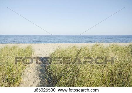 Stock Image - Path leading to beach. Fotosearch