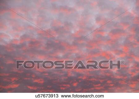 Pink clouds on sky at sunrise View Large Photo Image Stock Image - Pink clouds on sky at sunrise. Fotosearch