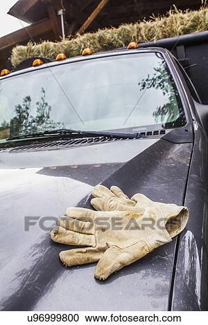 Stock Image - Protective gloves laying on car. Fotosearch