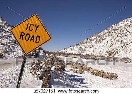 Road sign by snowcapped road in winter View Large Photo Image Stock Image - Road sign by snowcapped road in winter. Fotosearch