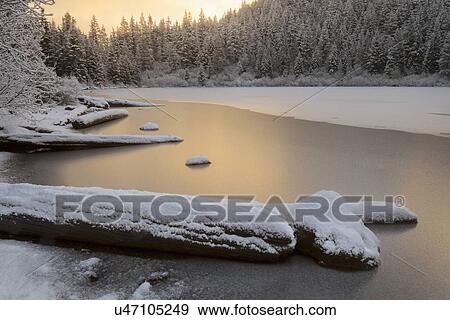 Stock Photo - Scenic view of lake and forest in winter. Fotosearch
