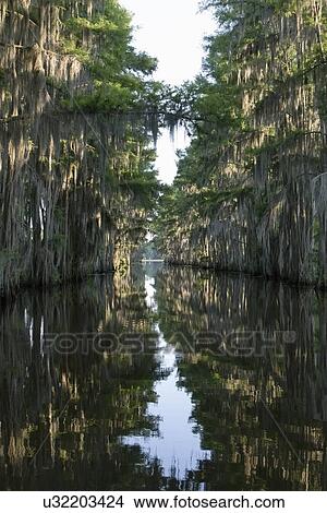 Picture - Scenic view of lake. Fotosearch