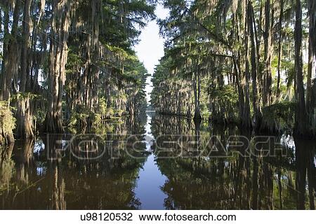 Stock Image - Scenic view of lake. Fotosearch