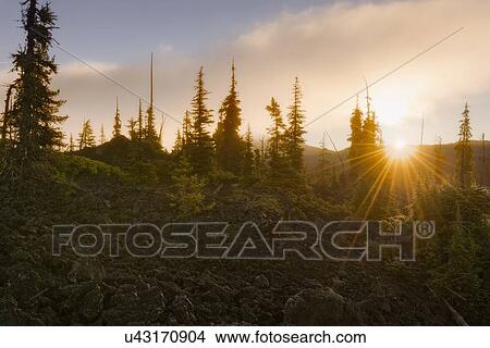 Picture - Scenic view of landscape at sunset. Fotosearch