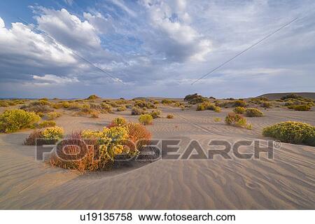 Scenic view of landscape View Large Photo Image Stock Photo - Scenic view of landscape. Fotosearch