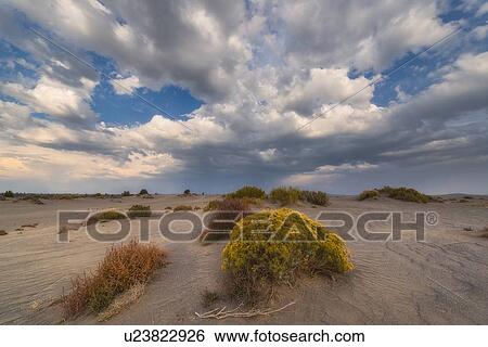 Scenic view of landscape View Large Photo Image Stock Photograph - Scenic view of landscape. Fotosearch