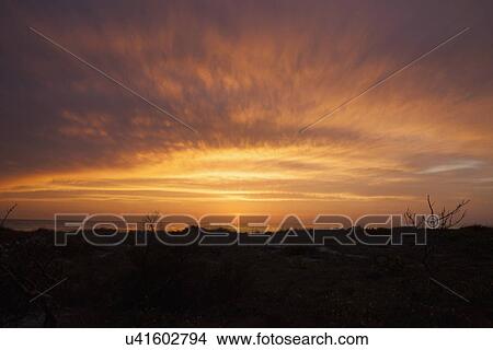 Picture - Scenic view of sunset sky. Fotosearch