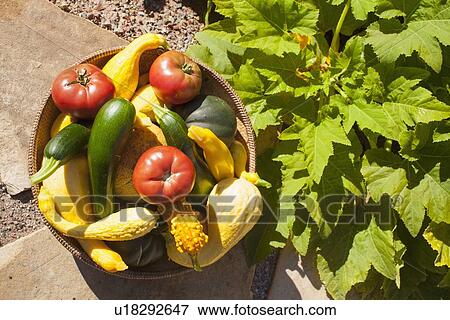 Stock Photo - Stack of vegetables in bowl. Fotosearch