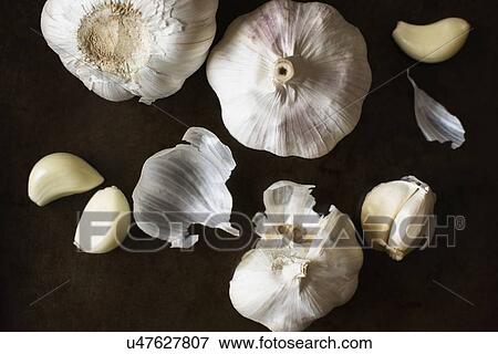 Studio Shot of garlic View Large Photo Image Stock Photo - Studio Shot of garlic. Fotosearch