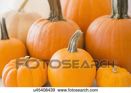 Studio Shot of orange pumpkins View Large Photo Image Stock Photo - Studio Shot of orange pumpkins. Fotosearch