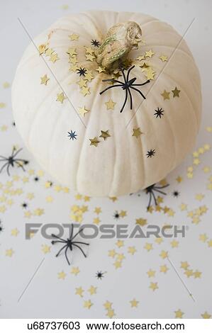 Studio Shot of pumpkin with halloween decoration View Large Photo Image Stock Image - Studio Shot of pumpkin with halloween decoration. Fotosearch