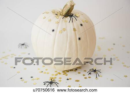 Stock Photograph - Studio Shot of pumpkin with halloween decoration. Fotosearch