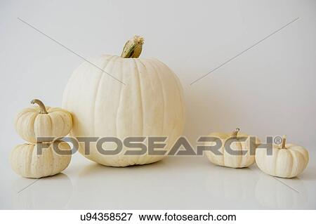 Stock Photo - Studio Shot of pumpkins. Fotosearch
