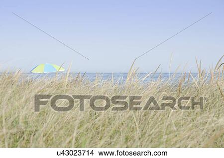 Picture - View of beach umbrella by sea. Fotosearch