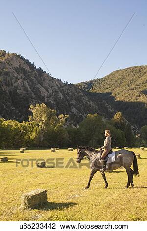 Woman horseback riding in field at sunset View Large Photo Image Stock Image - Woman horseback riding in field at sunset. Fotosearch