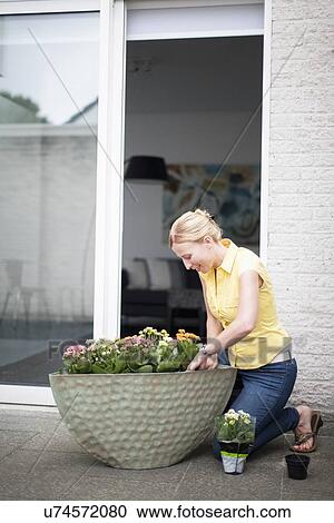 Woman planting flowers outdoors View Large Photo Image Stock Image - Woman planting flowers outdoors. Fotosearch